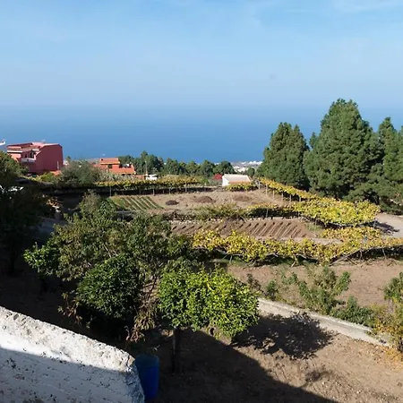 Casa Paun Icod De Los Vinos
